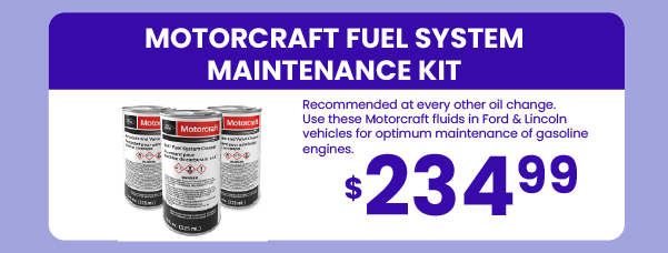 Motorcraft Fuel System Maintenance Kit