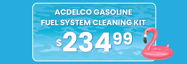 AcDelco Gasoline Fuel System Cleaning Kit