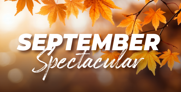 Our spectacular service specials are in!