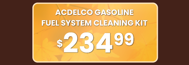 AcDelco Gasoline Fuel System Cleaning Kit