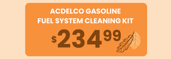 AcDelco Gasoline Fuel System Cleaning Kit