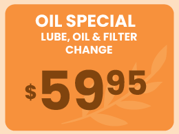 Oil Special